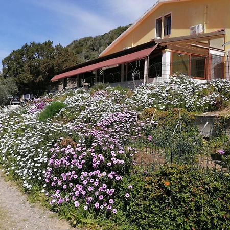 Hotel Il Lentischio Cala Sapone Exteriér fotografie