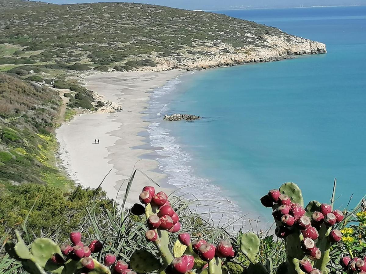 Hotel Il Lentischio Cala Sapone Exteriér fotografie
