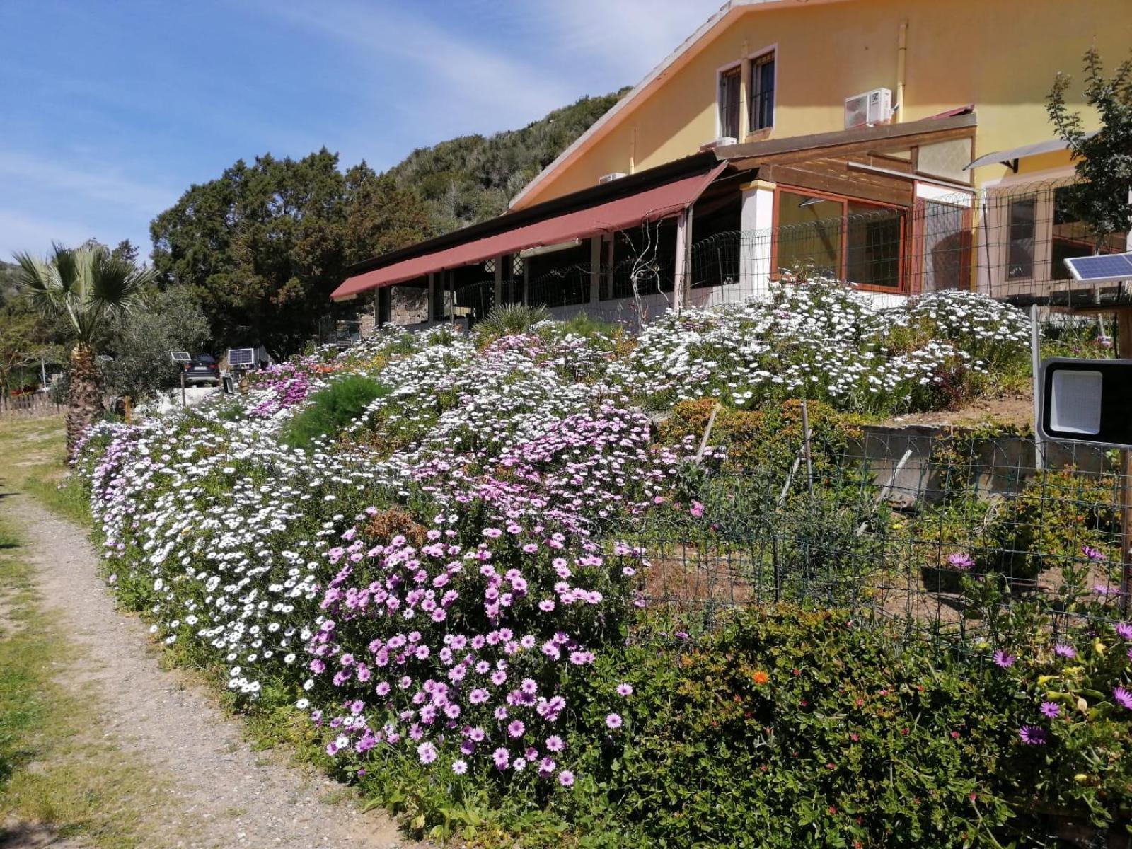 Hotel Il Lentischio Cala Sapone Exteriér fotografie
